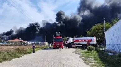 Tekirdağ'da fabrika yangını