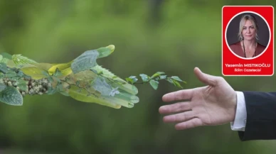 İklim dostu toplantılar