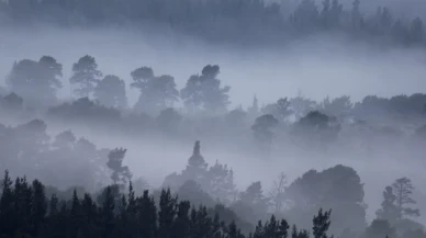 Meteoroloji’den pus ve sis uyarısı