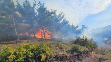 Hatay'daki orman yangını, 20 saat sonra kontrol altına alındı