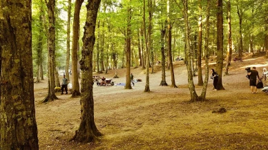 "Belgrad Ormanı, bugünden itibaren Doğa Koruma ve Milli Parklar Genel Müdürlüğü tarafından işletilecektir"