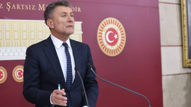 CHP'li Sarıbal: Son 2 yılda 1 milyondan fazla anaç  hayvan kesildi