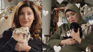 Sağlık Bakanlığı’ndan Kızılcık Şerbeti'ndeki sahne üzerine açıklama: Köpekten insana hastalık bulaşır mı?