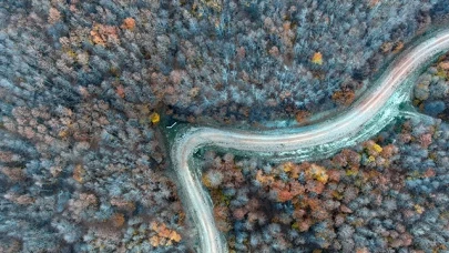 Boyalı Dağı'nın tabloyu andıran ağaçları dronla görüntülendi