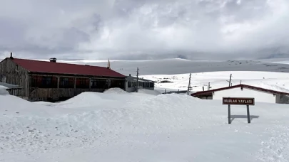 Ardahan'ın yüksek kesimlerinde kar yağışı etkili oldu