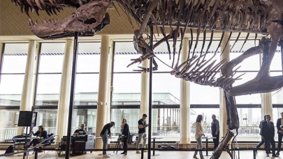 İsviçre'de açık artırmaya çıkarılan T-Rex iskeleti 6,2 milyon dolara satıldı.