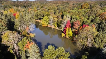 Atatürk Arboretumu'nda sonbahar renkleri