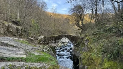 Karadeniz’in doğal güzelliği: Çamaş Kanyonu