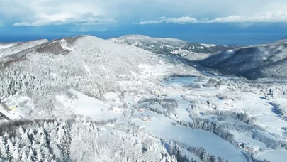 Kastamonu'da ormanlar beyaz örtüyle kaplandı