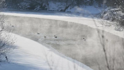 Kars'ta soğuk hava etkili oldu