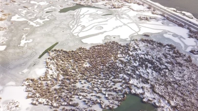 Yüzeyi buzla kaplanan Ahlat'taki "Kuş Cenneti" dronla görüntülendi