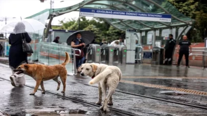 İstanbul’da sağanak yağış etkili oluyor