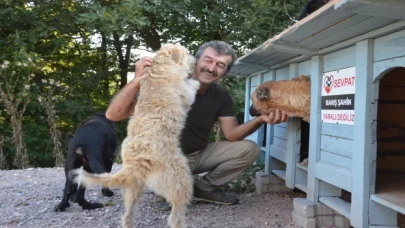 Sosyal medya aracılığıyla buluşan hayvanseverler sahipsiz canlar için yuva yapıyor