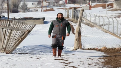 Evlenmesi için babasının biriktirdiği parayla 12 inek alıp köyünde hayvancılığa başladı