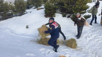 Kazdağları’nda yaban hayvanları için doğaya yem bırakıldı