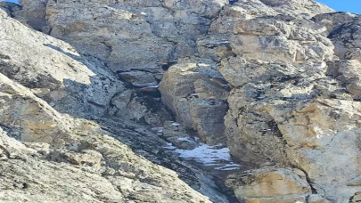 Hakkari’de kayalıklarda mahsur kalan keçiler kurtarıldı 