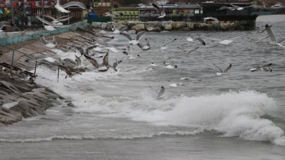 Tekirdağ’da deniz ulaşımına poyraz engeli