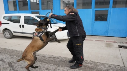 Isparta Emniyetinin göz bebeği ”Milon” üçüncü kez ayın narkotik köpeği seçildi