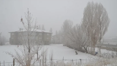 Hakkari’de soğuk hava ve sis etkili oldu 