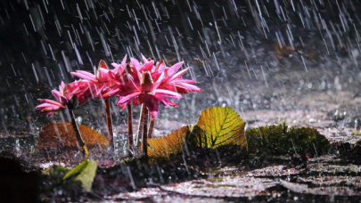 Meteoroloji duyurdu, sağanak yağışa dikkat!