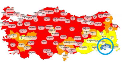 Vali, Koronavirüs risk haritasının tek 'mavi' şehri Şırnak'ın sırrını açıkladı