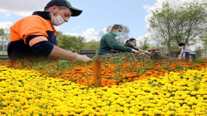 Baharın renkleri Çankaya'da açıyor