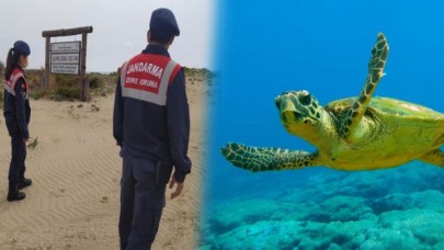 Caretta carettaların  yuvalarına  jandarma koruması