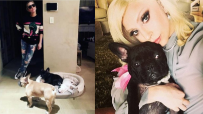 Lady Gaga'nın köpeklerinin çalınmasıyla ilgili 5 gözaltı