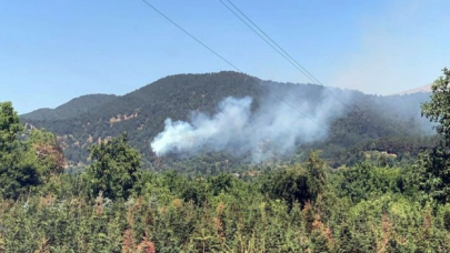 İzmir Ödemiş'te orman yangını