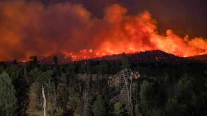 California'da orman yangını 14 gündür devam ediyor!