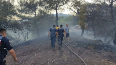 Hatay'da orman yangını!