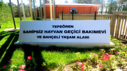 "Tepeören Sahipsiz Hayvan Geçici Bakımevi ve Yaşam Alanı yakınlarında açılan bir çukur içinde onlarca hayvanın cesedi bulundu"