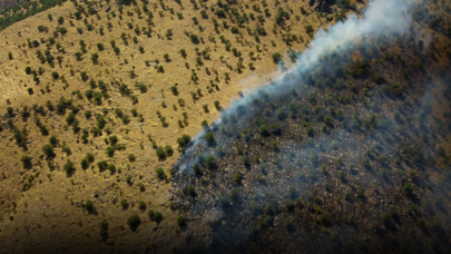 Bitlis yangınında 40 hektar alan zarar gördü