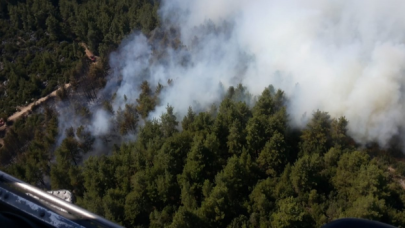 Burdur'da orman yangını kontrol altına alındı