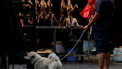 Güney Kore’de köpek eti tüketimi yasaklanabilir