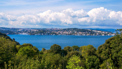 İstanbul'da boğaz manzaralı orman talanı!