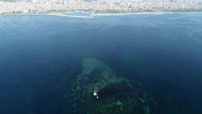 Marmara Denizi'nde "oksijen azlığı" tehlikesi devam ediyor!