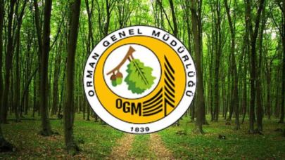 OGM: Bugün çıkan 8 orman yangını kontrol altına alındı