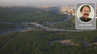 Önder Algedik yazdı: Acılar, anılar ve ODTÜ ormanı