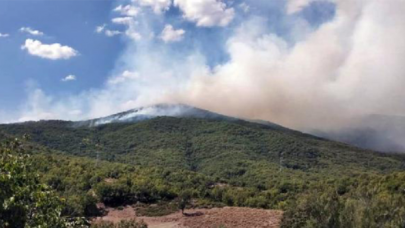 Tunceli'de örtü yangını!