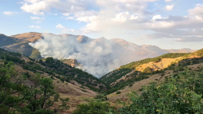 Tunceli'de yangınlar kontrol altına alındı