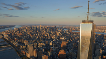 Yüzlerce kuş öldü! New York kaldırımları ölü kuşlarla doldu