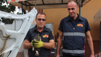 Otomobilin motoruna sıkışan yavru kediyi itfaiye ekipleri kurtardı