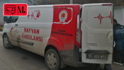 Samsun'da trafik polisleri yaralı köpeğin imdadına yetişti