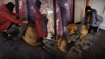 Mağazadan aldığı kazağı köpeğe giydirdi