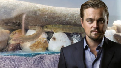 Batmanlılar, Leonardo DiCaprio'nun bu paylaşımını konuşuyor