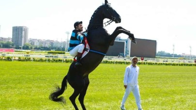 Dünya Üzerinde En İyi Derece Yapan Atlar Listesi