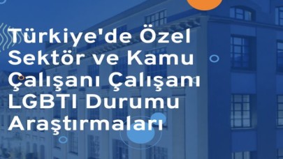 Özel sektör ve kamu çalışanı LGBTİ+’ların Durumu