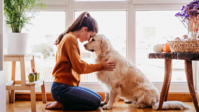 Köpekler sahiplerini yalnızca sesini duyarak da tanıyabiliyor