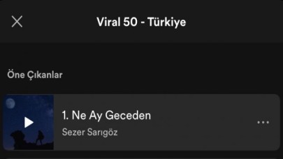 Sezer Sarıgöz'den “Ne Ay Geceden''